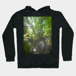 Translucent Leaves Hoodie